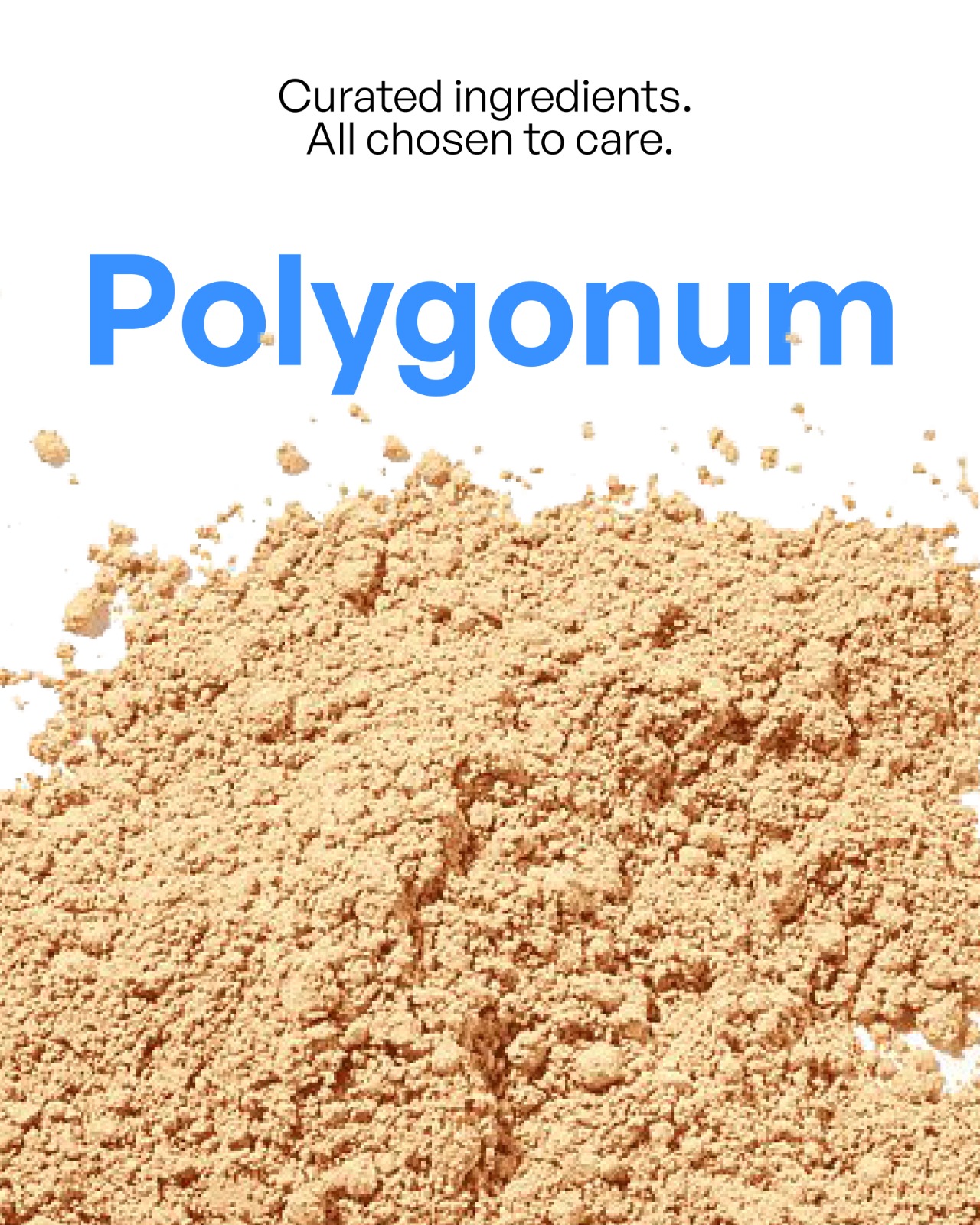 Polygonum Cuspidatum Root Extract